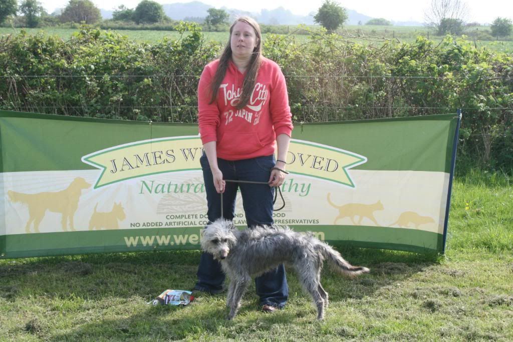 Crewkerne Lurcher & Terrier Show Gamefairs, Meet Up's and Events